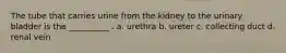 The tube that carries urine from the kidney to the urinary bladder is the __________ . a. urethra b. ureter c. collecting duct d. renal vein