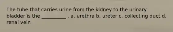 The tube that carries urine from the kidney to the urinary bladder is the __________ . a. urethra b. ureter c. collecting duct d. renal vein