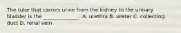 The tube that carries urine from the kidney to the urinary bladder is the ______________. A. urethra B. ureter C. collecting duct D. renal vein