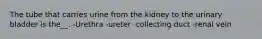 The tube that carries urine from the kidney to the urinary bladder is the__. -Urethra -ureter -collecting duct -renal vein