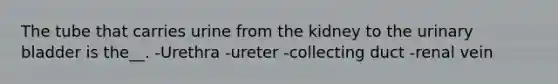 The tube that carries urine from the kidney to the urinary bladder is the__. -Urethra -ureter -collecting duct -renal vein