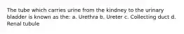 The tube which carries urine from the kindney to the urinary bladder is known as the: a. Urethra b. Ureter c. Collecting duct d. Renal tubule