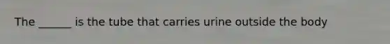 The ______ is the tube that carries urine outside the body