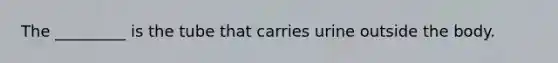 The _________ is the tube that carries urine outside the body.