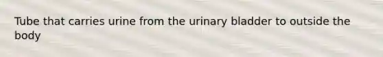 Tube that carries urine from the urinary bladder to outside the body