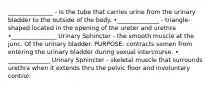 _______________ - Is the tube that carries urine from the urinary bladder to the outside of the body. •______________ - triangle-shaped located in the opening of the ureter and urethra •_______________ Urinary Sphincter - the smooth muscle at the junc. Of the urinary bladder. PURPOSE: contracts semen from entering the urinary bladder during sexual intercourse. • ______________ Urinary Sphincter - skeletal muscle that surrounds urethra when it extends thru the pelvic floor and involuntary control.