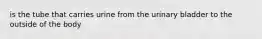 is the tube that carries urine from the urinary bladder to the outside of the body