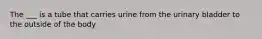 The ___ is a tube that carries urine from the urinary bladder to the outside of the body