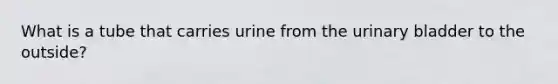 What is a tube that carries urine from the urinary bladder to the outside?