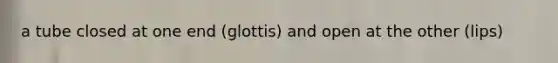 a tube closed at one end (glottis) and open at the other (lips)