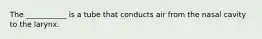 The ___________ is a tube that conducts air from the nasal cavity to the larynx.