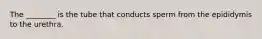 The ________ is the tube that conducts sperm from the epididymis to the urethra.
