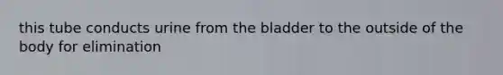 this tube conducts urine from the bladder to the outside of the body for elimination