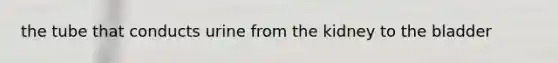 the tube that conducts urine from the kidney to the bladder