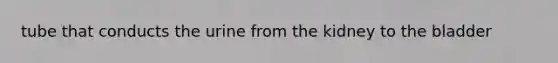 tube that conducts the urine from the kidney to the bladder