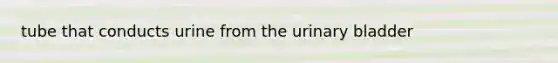 tube that conducts urine from the urinary bladder