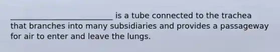 __________________________ is a tube connected to the trachea that branches into many subsidiaries and provides a passageway for air to enter and leave the lungs.