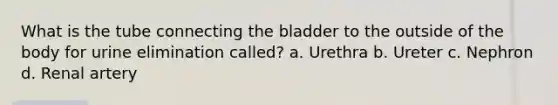 What is the tube connecting the bladder to the outside of the body for urine elimination called? a. Urethra b. Ureter c. Nephron d. Renal artery