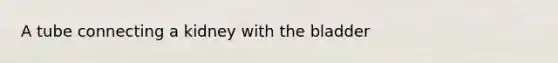 A tube connecting a kidney with the bladder