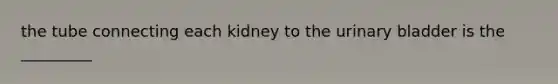 the tube connecting each kidney to the urinary bladder is the _________