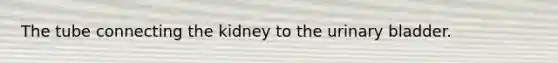 The tube connecting the kidney to the <a href='https://www.questionai.com/knowledge/kb9SdfFdD9-urinary-bladder' class='anchor-knowledge'>urinary bladder</a>.