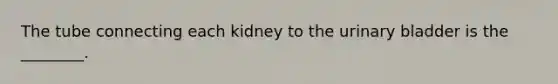 The tube connecting each kidney to the urinary bladder is the ________.