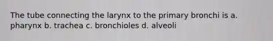 The tube connecting the larynx to the primary bronchi is a. pharynx b. trachea c. bronchioles d. alveoli