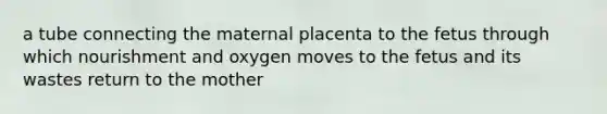 a tube connecting the maternal placenta to the fetus through which nourishment and oxygen moves to the fetus and its wastes return to the mother