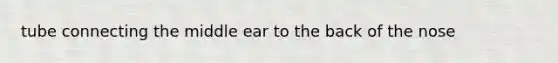 tube connecting the middle ear to the back of the nose