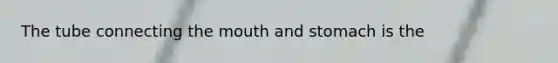 The tube connecting <a href='https://www.questionai.com/knowledge/krBoWYDU6j-the-mouth' class='anchor-knowledge'>the mouth</a> and stomach is the