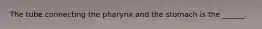 The tube connecting the pharynx and the stomach is the ______.