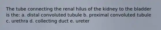 The tube connecting the renal hilus of the kidney to the bladder is the: a. distal convoluted tubule b. proximal convoluted tubule c. urethra d. collecting duct e. ureter