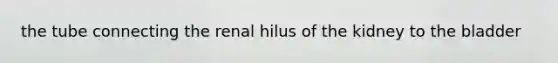 the tube connecting the renal hilus of the kidney to the bladder