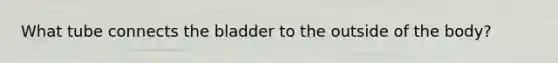 What tube connects the bladder to the outside of the body?