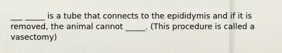 ___ _____ is a tube that connects to the epididymis and if it is removed, the animal cannot _____. (This procedure is called a vasectomy)