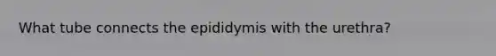 What tube connects the epididymis with the urethra?