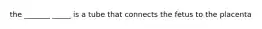 the _______ _____ is a tube that connects the fetus to the placenta