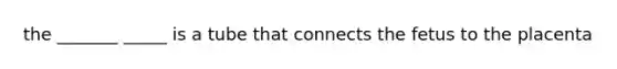 the _______ _____ is a tube that connects the fetus to the placenta