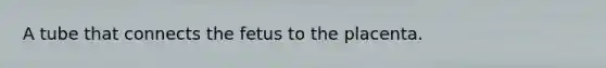 A tube that connects the fetus to the placenta.