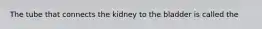 The tube that connects the kidney to the bladder is called the