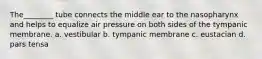 The________ tube connects the middle ear to the nasopharynx and helps to equalize air pressure on both sides of the tympanic membrane. a. vestibular b. tympanic membrane c. eustacian d. pars tensa