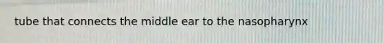 tube that connects the middle ear to the nasopharynx