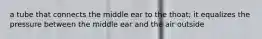 a tube that connects the middle ear to the thoat; it equalizes the pressure between the middle ear and the air outside