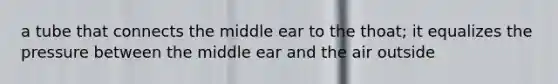 a tube that connects the middle ear to the thoat; it equalizes the pressure between the middle ear and the air outside