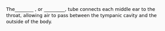 The________ , or _________, tube connects each middle ear to the throat, allowing air to pass between the tympanic cavity and the outside of the body.