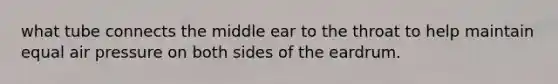 what tube connects the middle ear to the throat to help maintain equal air pressure on both sides of the eardrum.