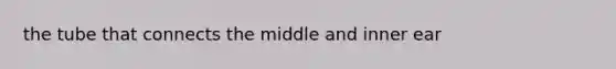 the tube that connects the middle and inner ear