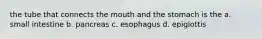 the tube that connects the mouth and the stomach is the a. small intestine b. pancreas c. esophagus d. epiglottis