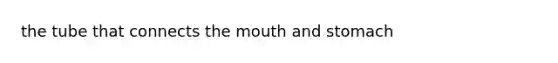 the tube that connects <a href='https://www.questionai.com/knowledge/krBoWYDU6j-the-mouth' class='anchor-knowledge'>the mouth</a> and stomach