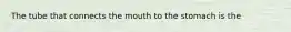 The tube that connects the mouth to the stomach is the